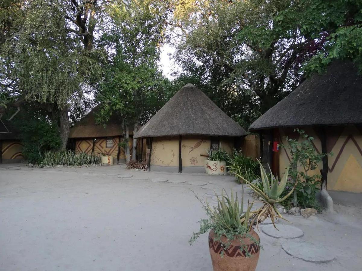 Discovery Bed And Breakfast Maun Exterior photo